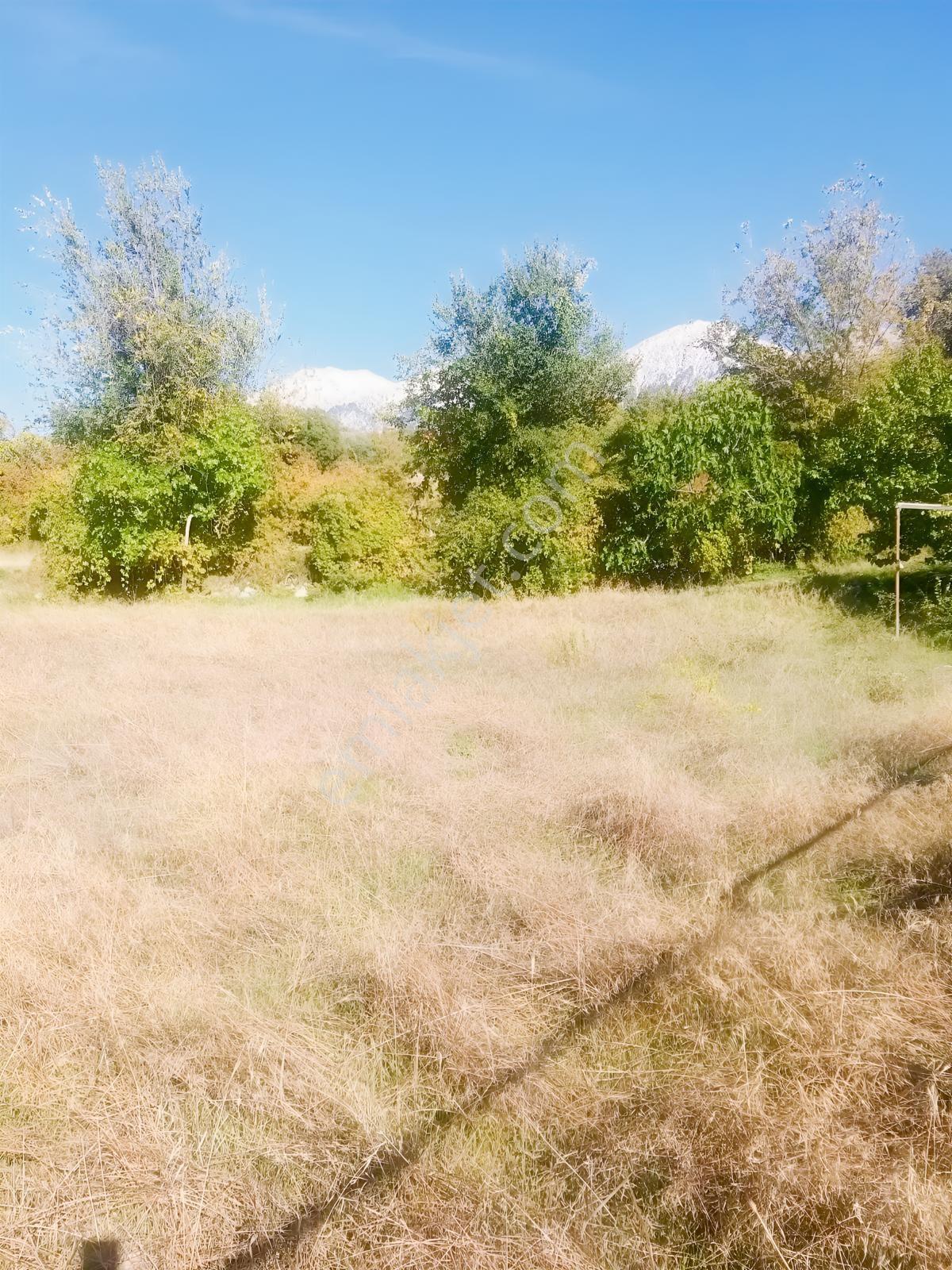 Arsa Mh 7935 M2tek Tapu Arazi — fotoğraf 5