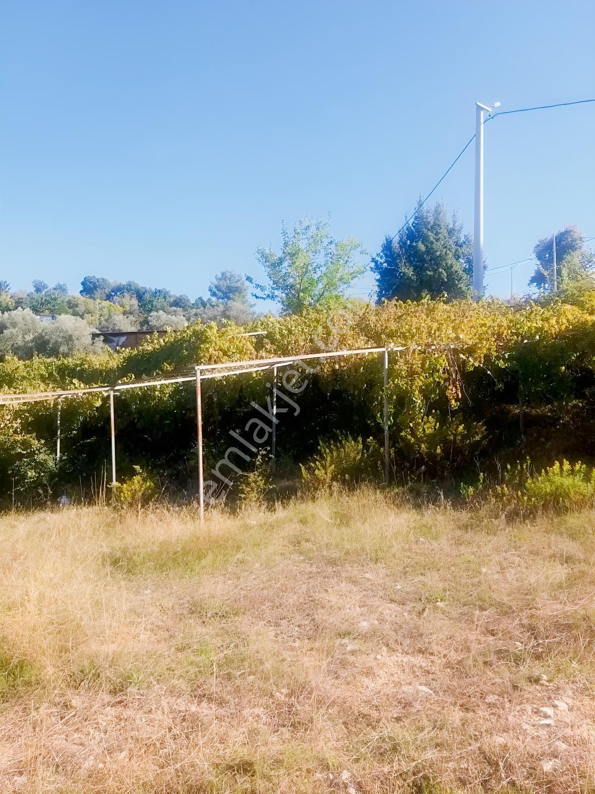 Arsa Mh 7935 M2tek Tapu Arazi — fotoğraf 6