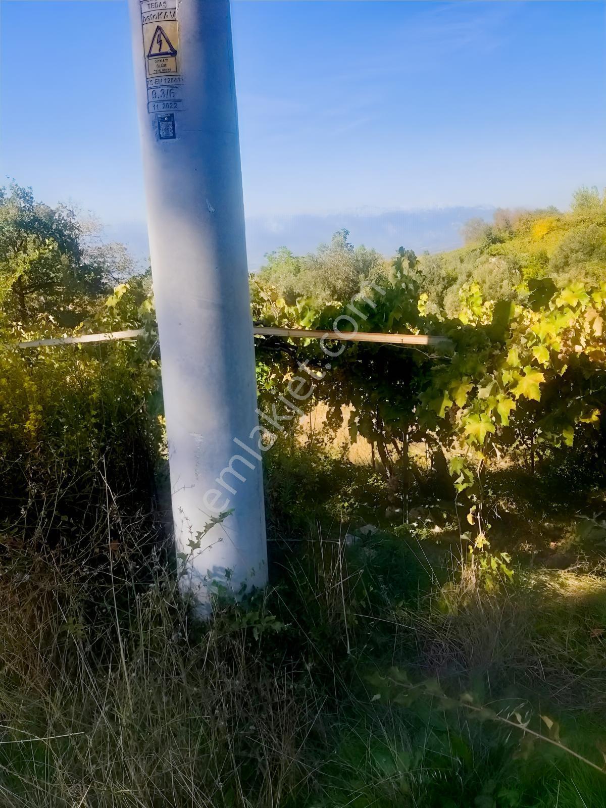 Arsa Mh 7935 M2tek Tapu Arazi — fotoğraf 8