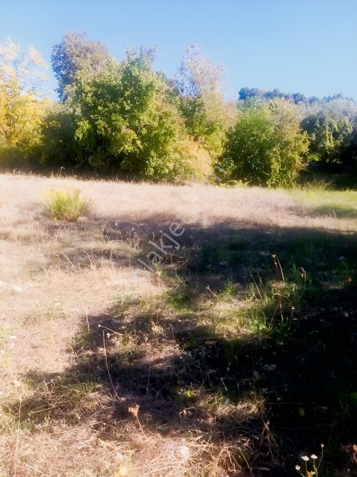 Arsa Mh 7935 M2tek Tapu Arazi — fotoğraf 10