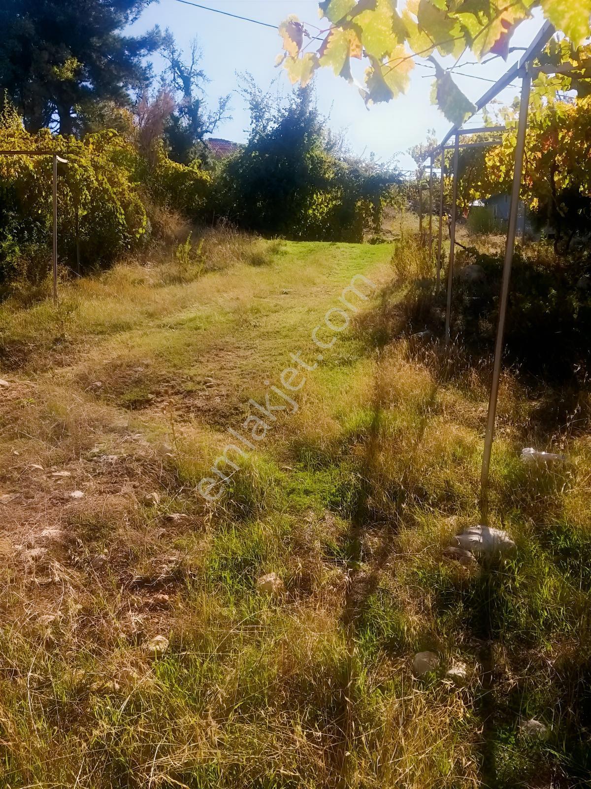 Arsa Mh 7935 M2tek Tapu Arazi — fotoğraf 11