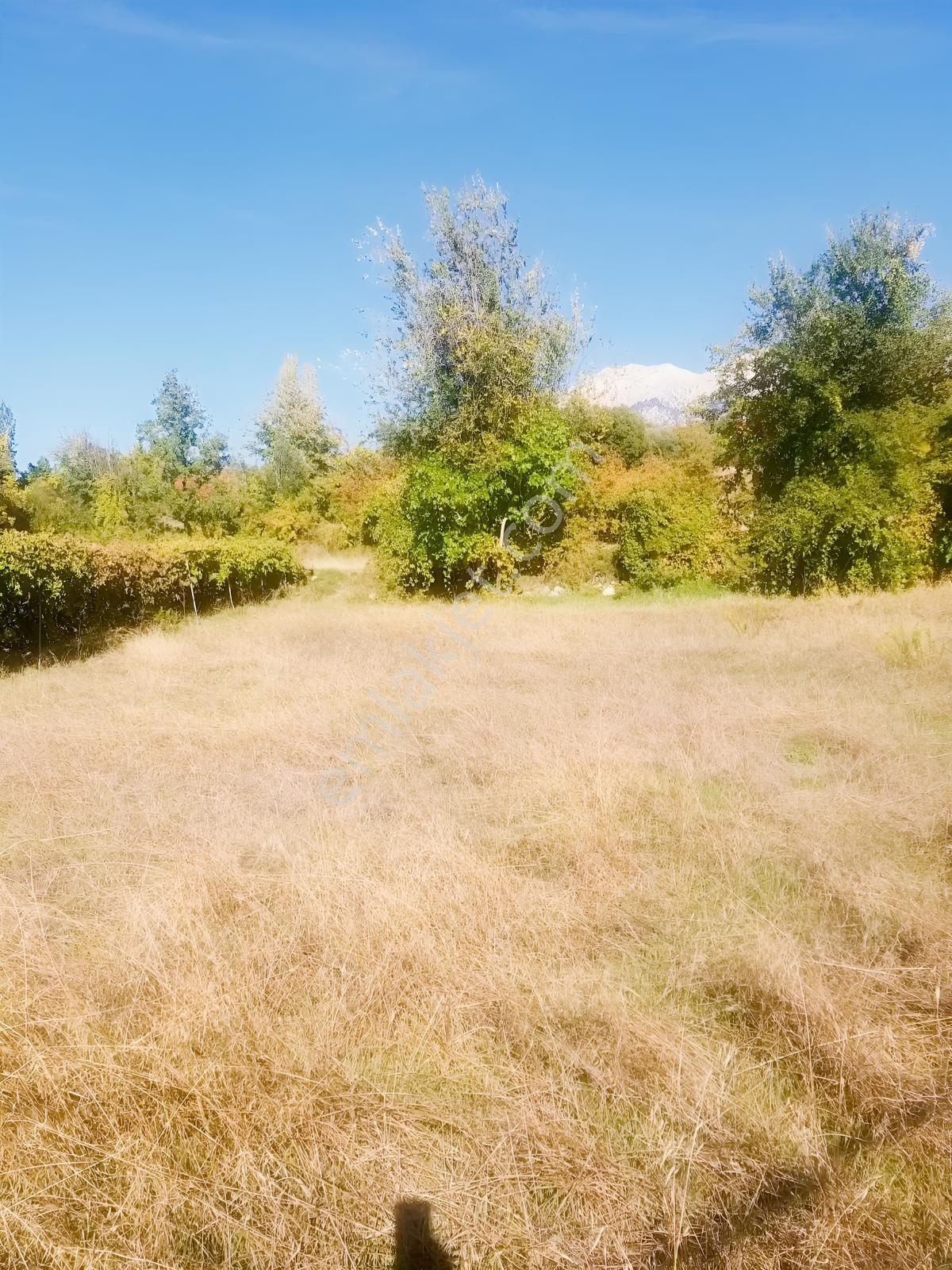 Arsa Mh 7935 M2tek Tapu Arazi — fotoğraf 12