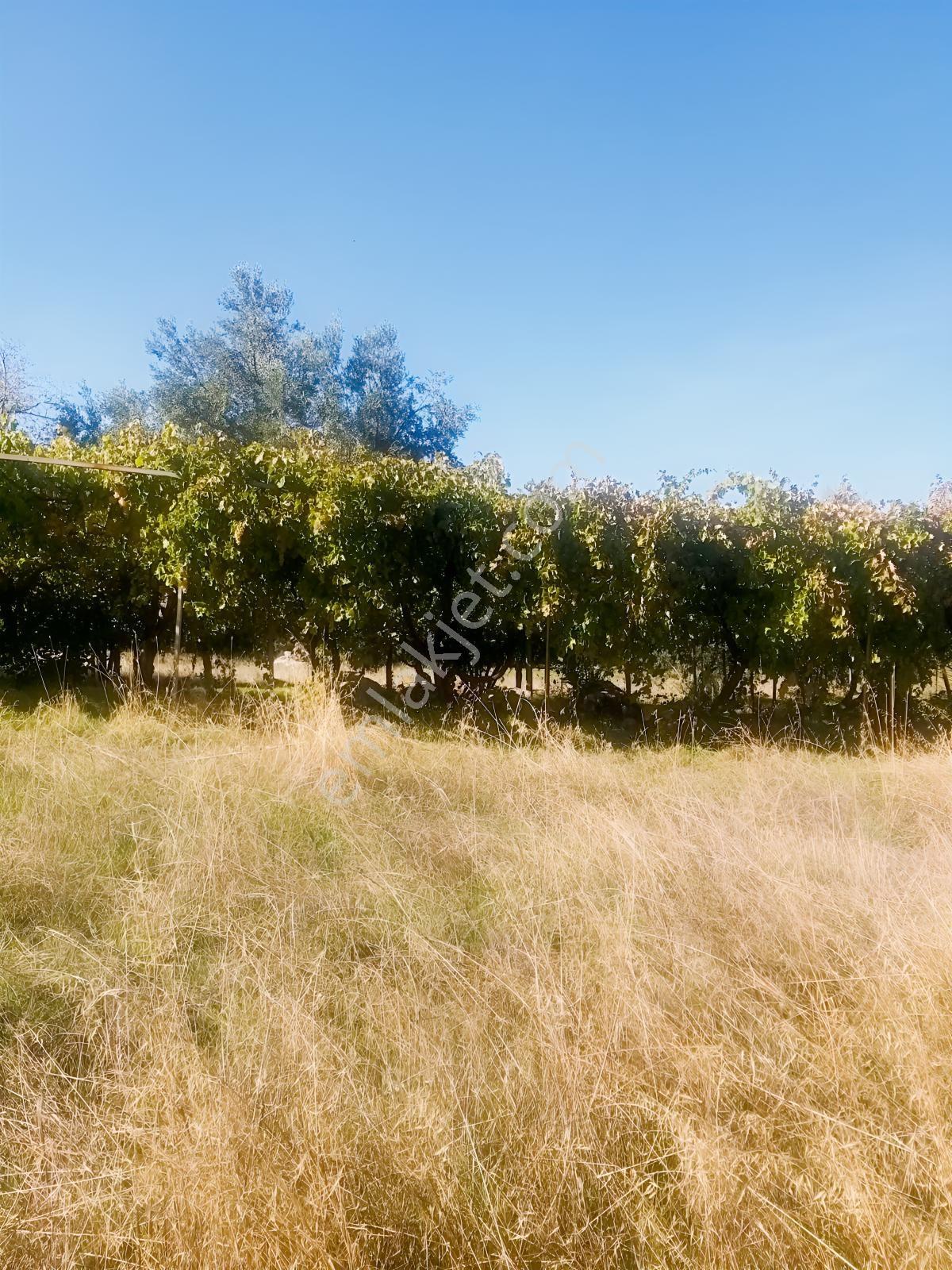 Arsa Mh 7935 M2tek Tapu Arazi — fotoğraf 13