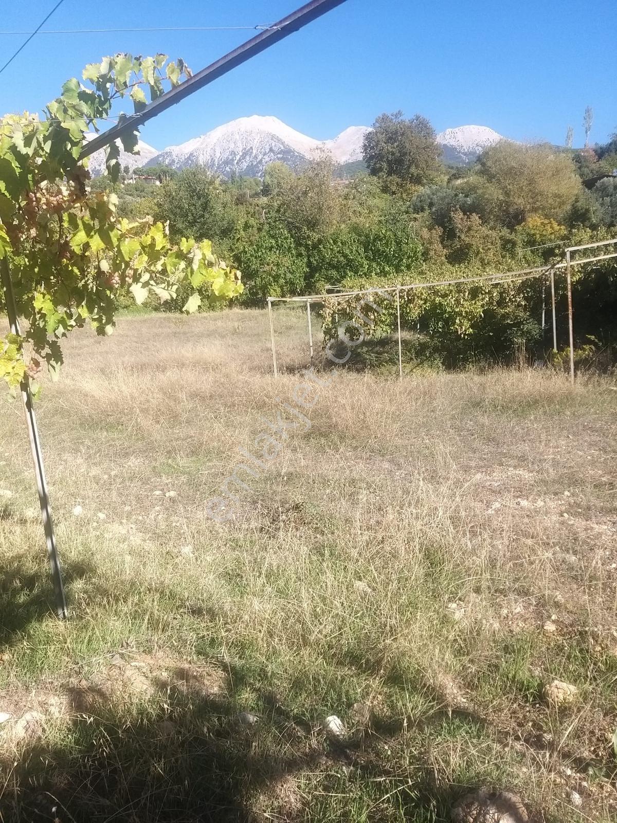Arsa Mh 7935 M2tek Tapu Arazi — fotoğraf 14