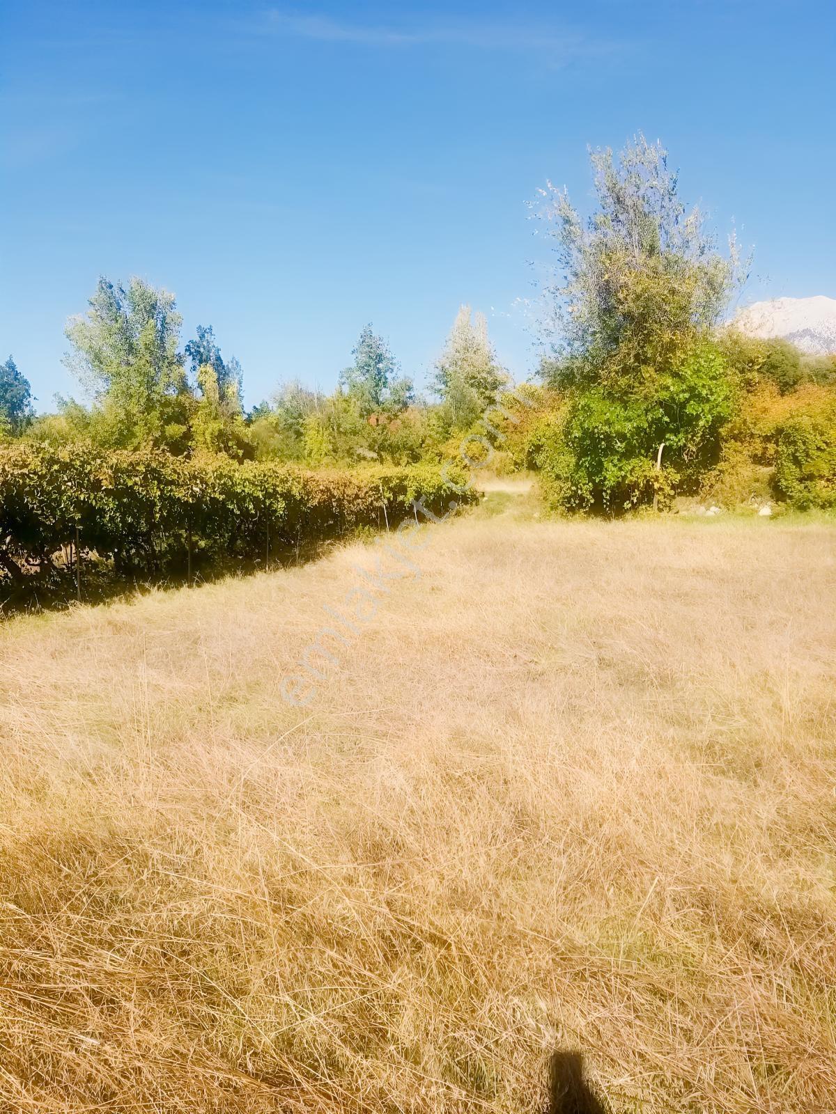 Arsa Mh 7935 M2tek Tapu Arazi — fotoğraf 16