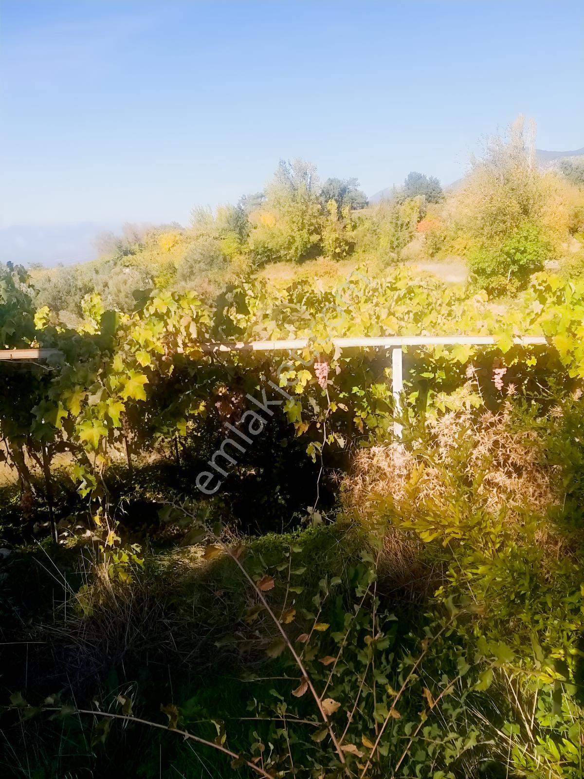 Arsa Mh 7935 M2tek Tapu Arazi — fotoğraf 22