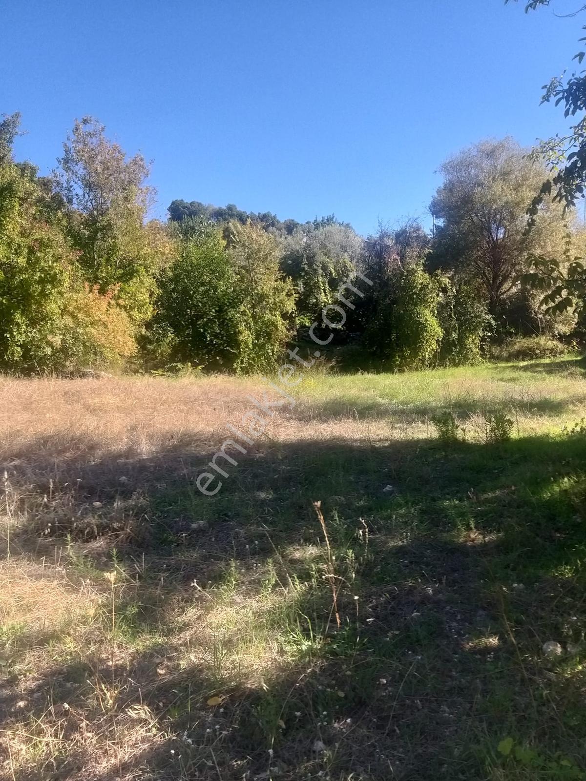 Arsa Mh 7935 M2tek Tapu Arazi — fotoğraf 24