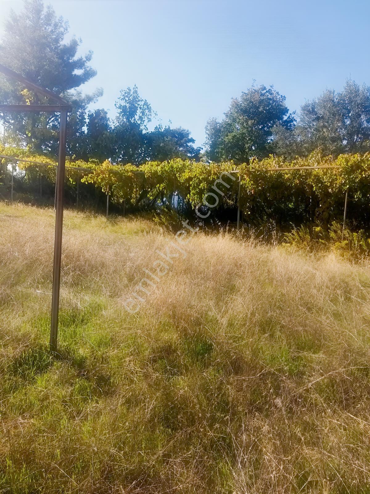 Arsa Mh 7935 M2tek Tapu Arazi — fotoğraf 25