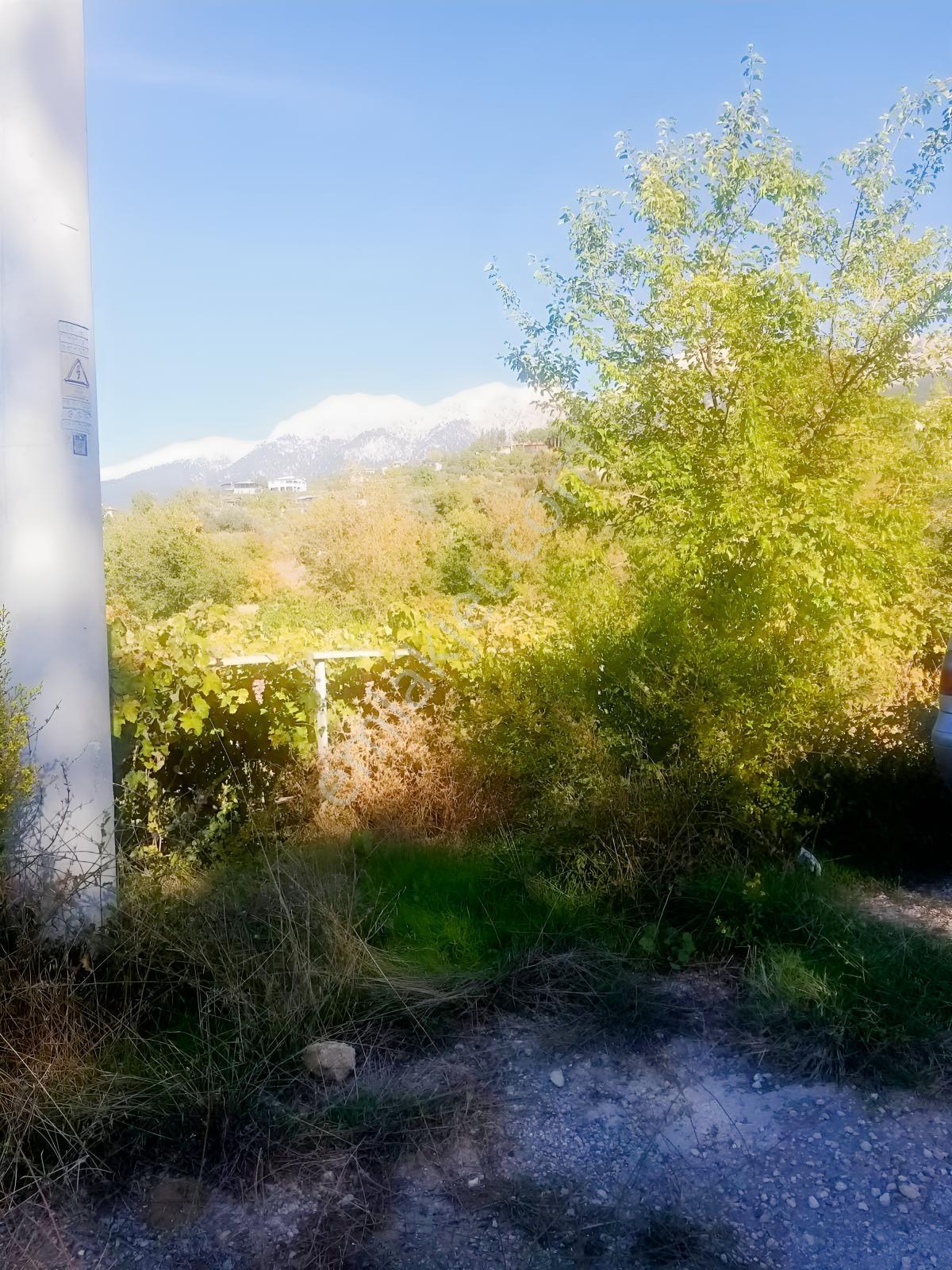 Arsa Mh 7935 M2tek Tapu Arazi — fotoğraf 29