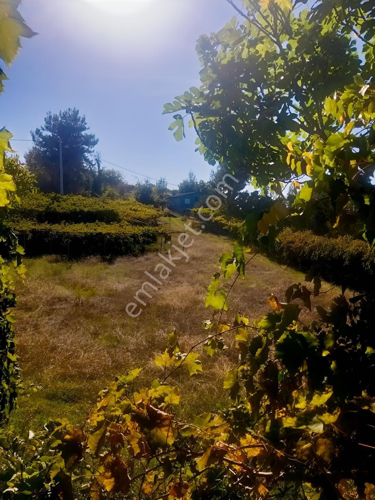 Arsa Mh 7935 M2tek Tapu Arazi — fotoğraf 34