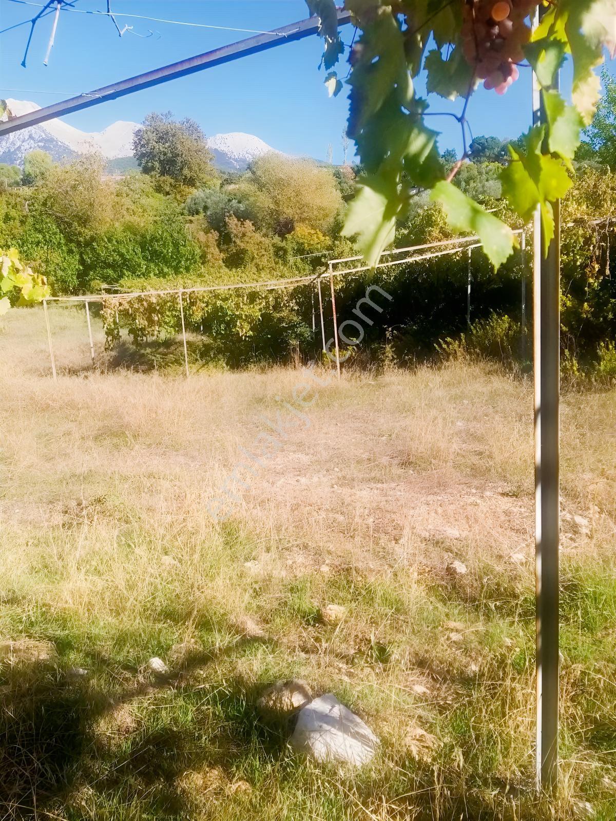 Arsa Mh 7935 M2tek Tapu Arazi — fotoğraf 35