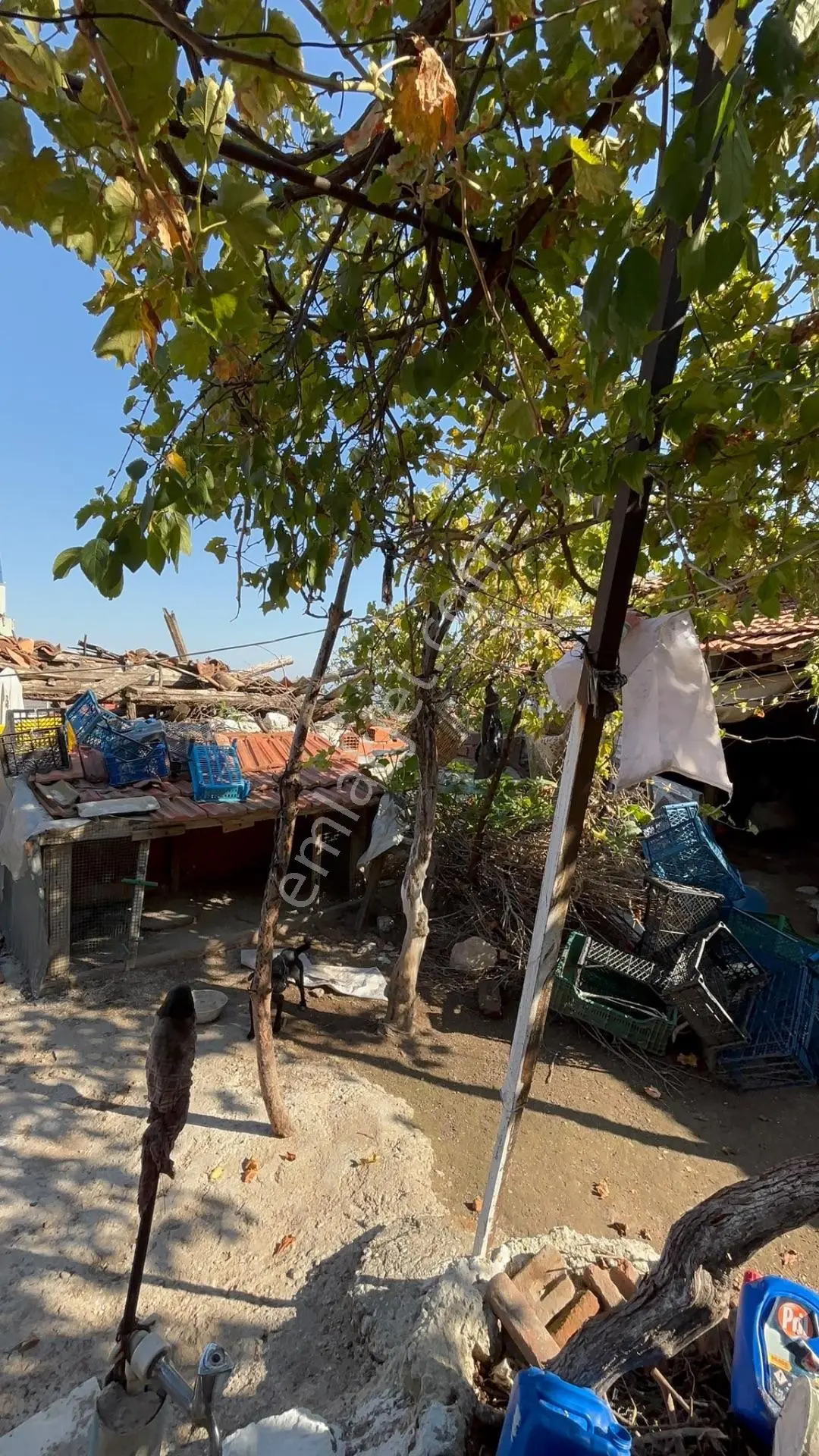 Esel Emlak’tan Kırkağaç Cinosman’da 321 M² Bahçeli Müstakil Ev Acil Satılık — fotoğraf 16