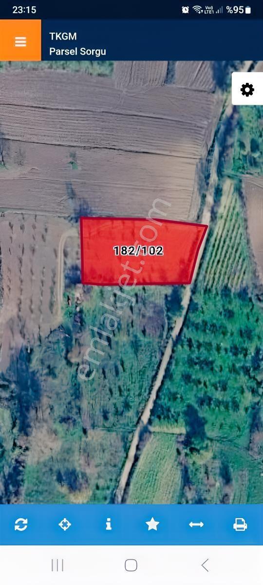 Kirazın Meşhur Olduğu Olduğu Naip Mah. Kiraz Bağ Satılık — fotoğraf 2