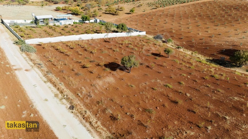 Suboğazı Sınırı Tek Tapu Resmi Yola Cepheli Ful Üzüm Bağı Fırsat