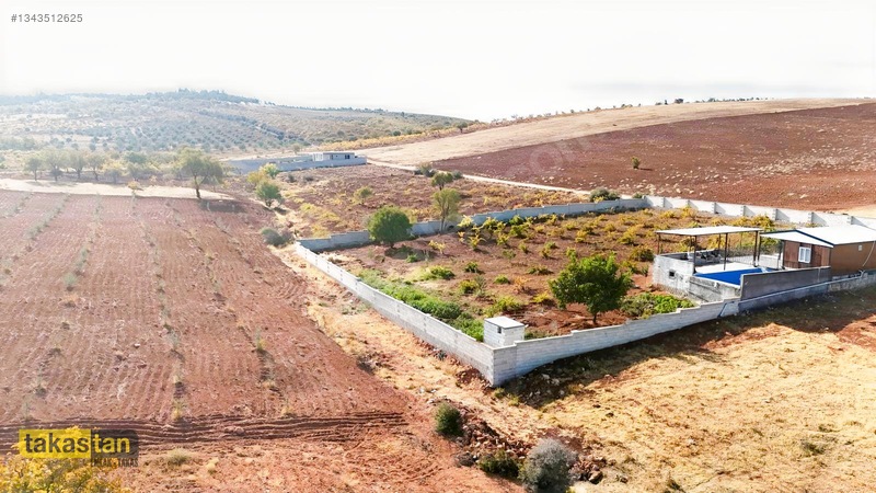 Suboğazı Sınırı Tek Tapu Resmi Yola Cepheli Ful Üzüm Bağı Fırsat — fotoğraf 2