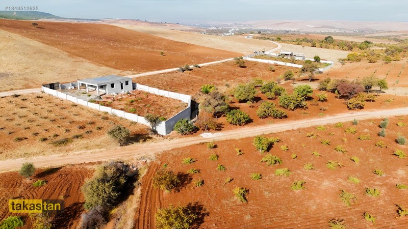 Suboğazı Sınırı Tek Tapu Resmi Yola Cepheli Ful Üzüm Bağı Fırsat — fotoğraf 8