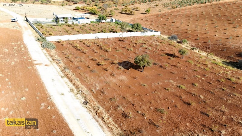 Suboğazı Sınırı Tek Tapu Resmi Yola Cepheli Ful Üzüm Bağı Fırsat — fotoğraf 9
