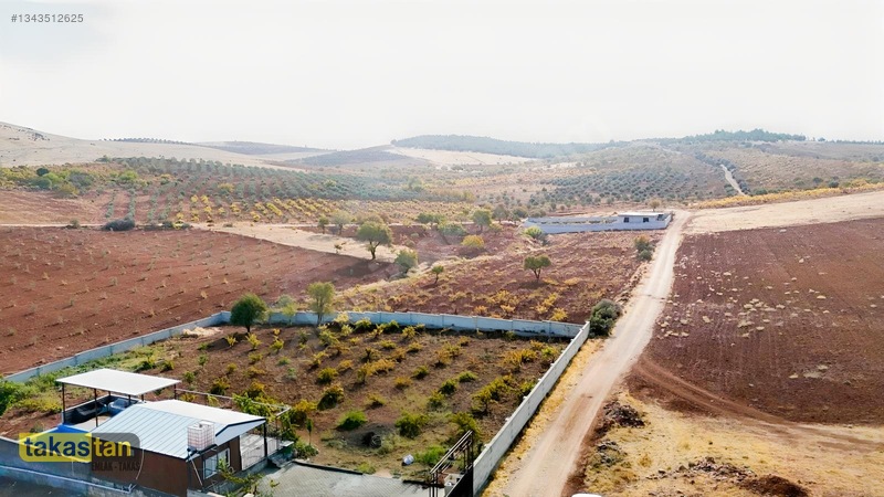 Suboğazı Sınırı Tek Tapu Resmi Yola Cepheli Ful Üzüm Bağı Fırsat — fotoğraf 12