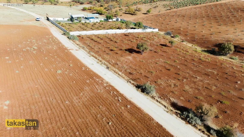 Suboğazı Sınırı Tek Tapu Resmi Yola Cepheli Ful Üzüm Bağı Fırsat — fotoğraf 13