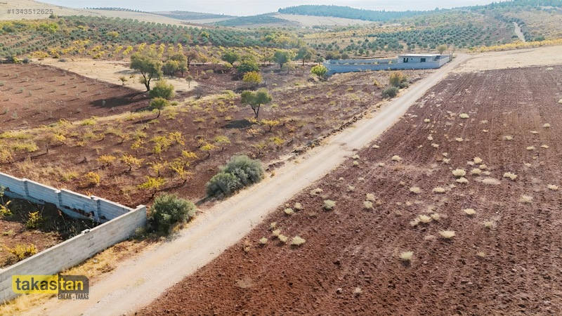 Suboğazı Sınırı Tek Tapu Resmi Yola Cepheli Ful Üzüm Bağı Fırsat — fotoğraf 15