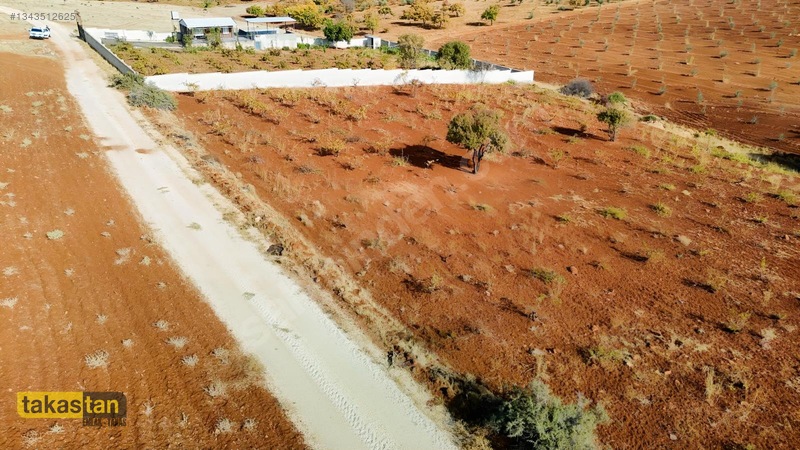 Suboğazı Sınırı Tek Tapu Resmi Yola Cepheli Ful Üzüm Bağı Fırsat — fotoğraf 19