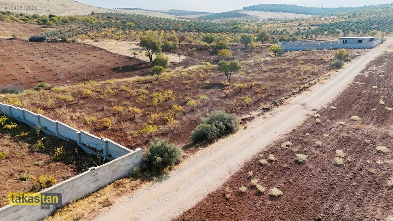 Suboğazı Sınırı Tek Tapu Resmi Yola Cepheli Ful Üzüm Bağı Fırsat — fotoğraf 20