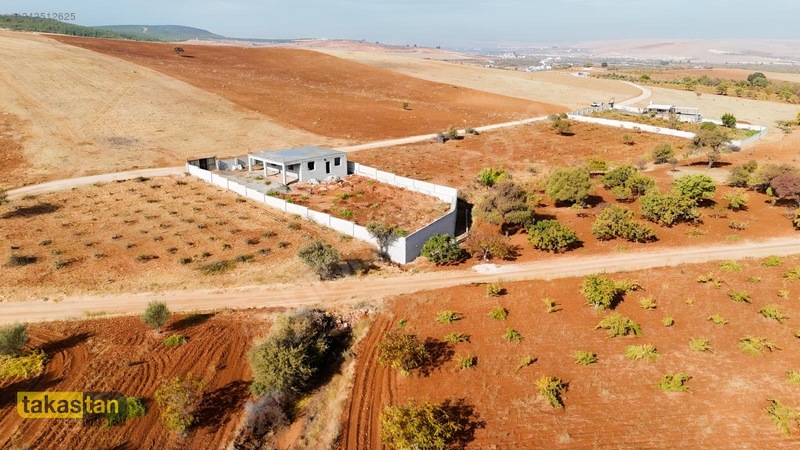 Suboğazı Sınırı Tek Tapu Resmi Yola Cepheli Ful Üzüm Bağı Fırsat — fotoğraf 22