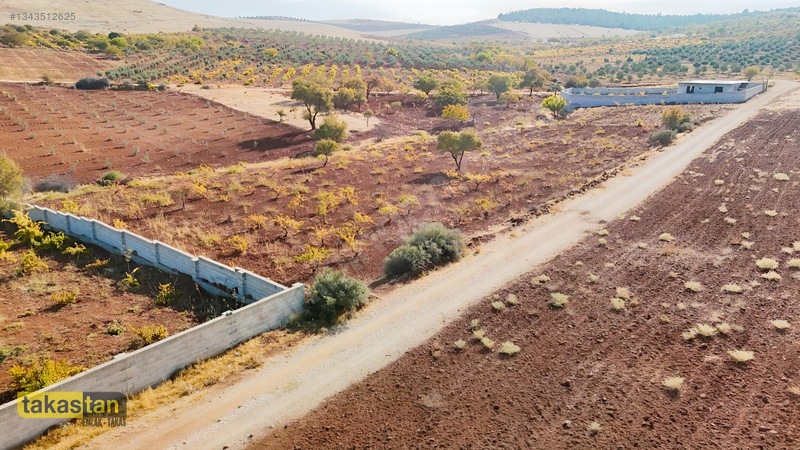 Suboğazı Sınırı Tek Tapu Resmi Yola Cepheli Ful Üzüm Bağı Fırsat — fotoğraf 23