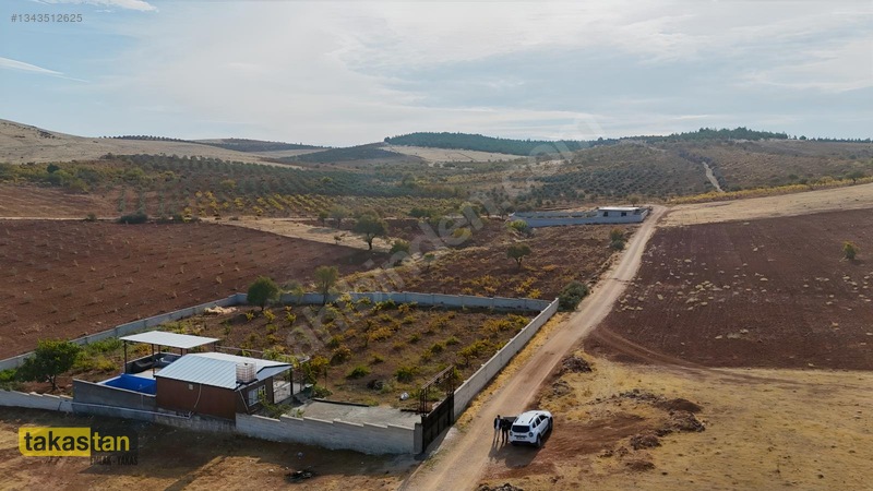 Suboğazı Sınırı Tek Tapu Resmi Yola Cepheli Ful Üzüm Bağı Fırsat — fotoğraf 27