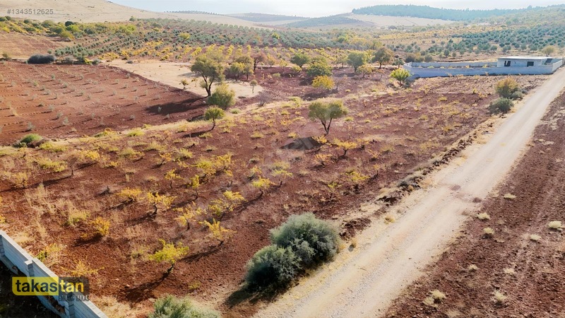 Suboğazı Sınırı Tek Tapu Resmi Yola Cepheli Ful Üzüm Bağı Fırsat — fotoğraf 31