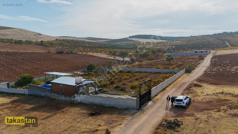 Suboğazı Sınırı Tek Tapu Resmi Yola Cepheli Ful Üzüm Bağı Fırsat — fotoğraf 32
