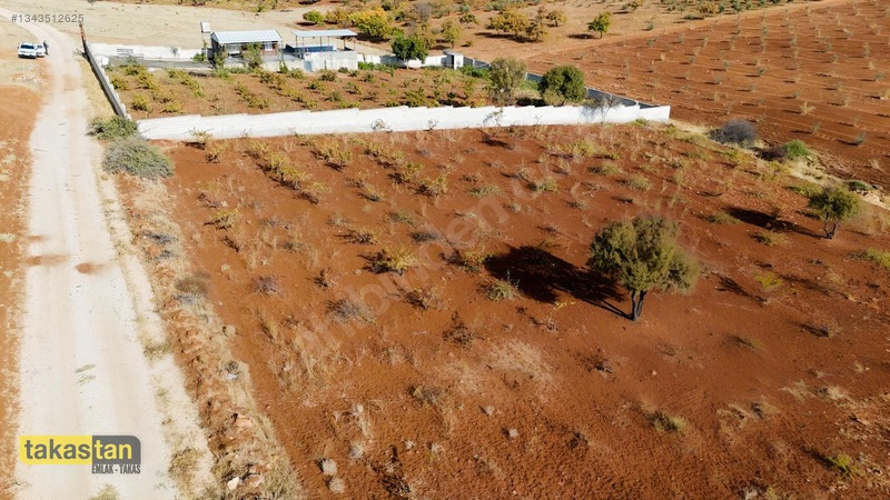 Suboğazı Sınırı Tek Tapu Resmi Yola Cepheli Ful Üzüm Bağı Fırsat — fotoğraf 33