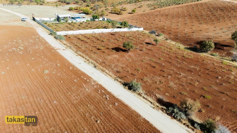 Suboğazı Sınırı Tek Tapu Resmi Yola Cepheli Ful Üzüm Bağı Fırsat — fotoğraf 34