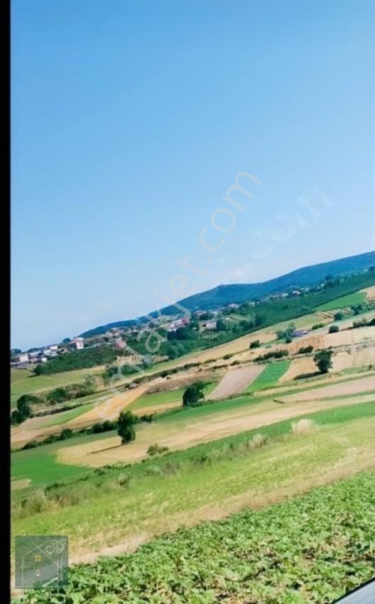 Kaynarca Kızılcaali Satılık Tarla — fotoğraf 2