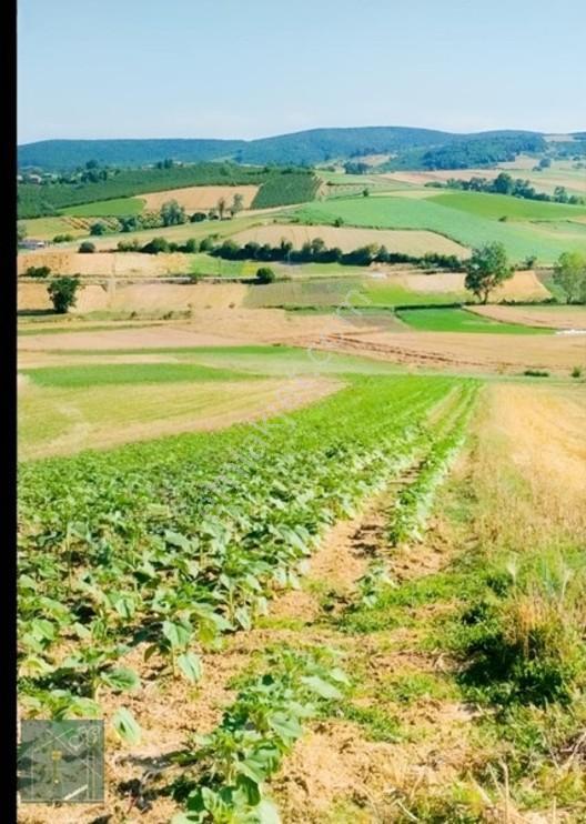 Kaynarca Kızılcaali Satılık Tarla — fotoğraf 3