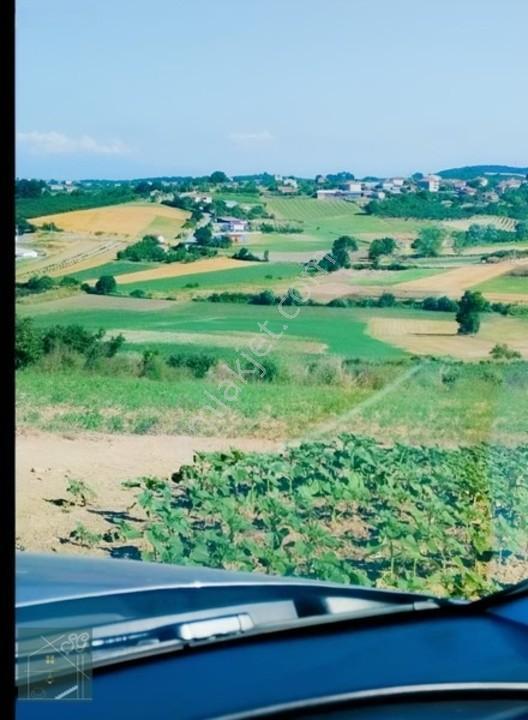 Kaynarca Kızılcaali Satılık Tarla — fotoğraf 4