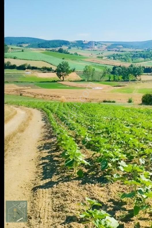Kaynarca Kızılcaali Satılık Tarla — fotoğraf 5