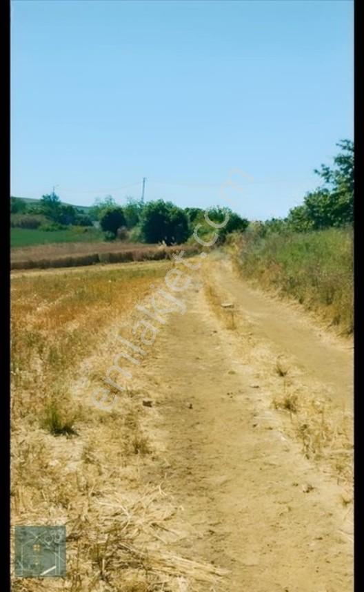 Kaynarca Kızılcaali Satılık Tarla — fotoğraf 8