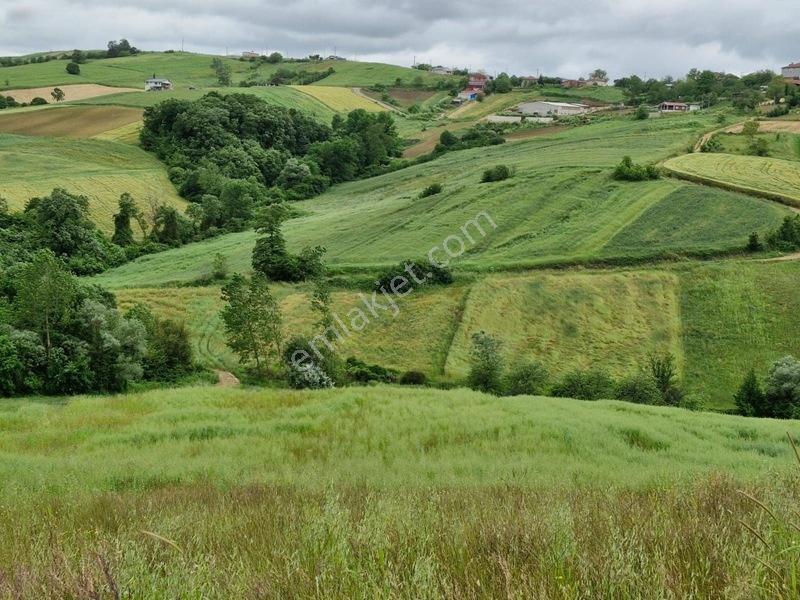 Geredeli De %5 İmarlı 7300 M2 Kupon Tarla — fotoğraf 7