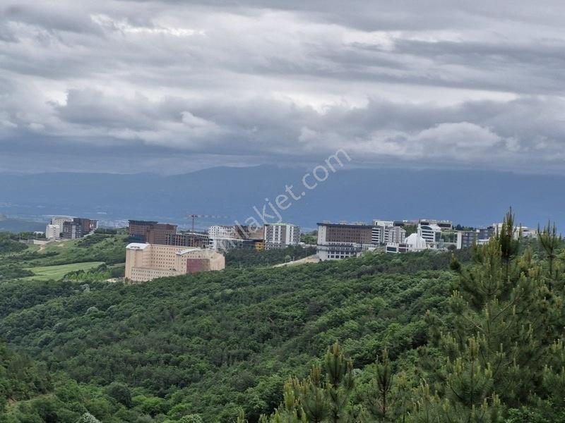 Geredeli De %5 İmarlı 7300 M2 Kupon Tarla — fotoğraf 12