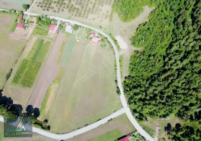 Mavi Atlas'tan 19 Mayıs'ta Satılık Arsa — fotoğraf 2
