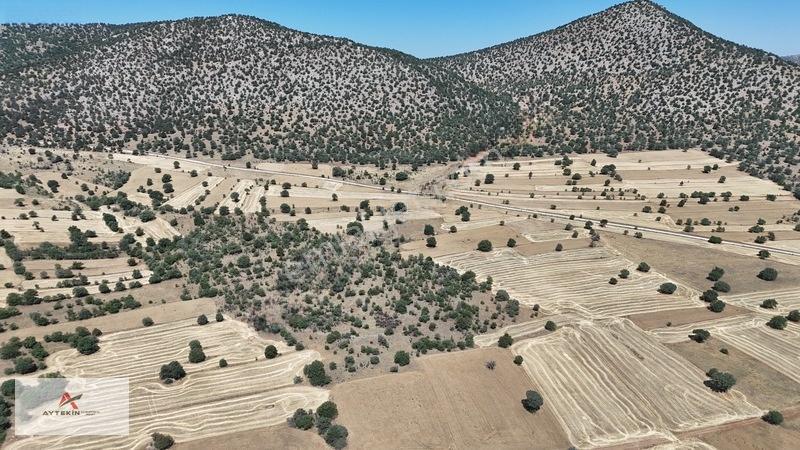 Asfalt Yola Yakın 985 M² Müstakil Tarla! Güneysınır Kurukavak'Ta