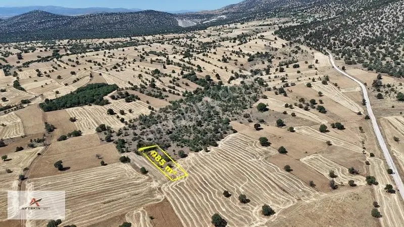 Asfalt Yola Yakın 985 M² Müstakil Tarla! Güneysınır Kurukavak'ta — fotoğraf 2