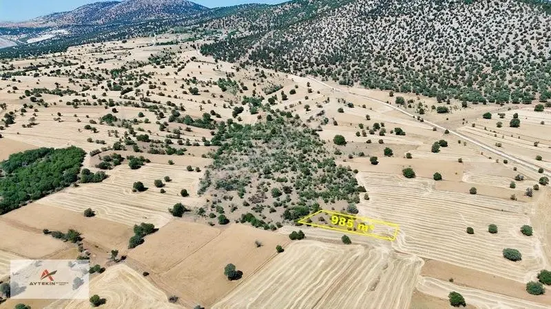 Asfalt Yola Yakın 985 M² Müstakil Tarla! Güneysınır Kurukavak'ta — fotoğraf 3
