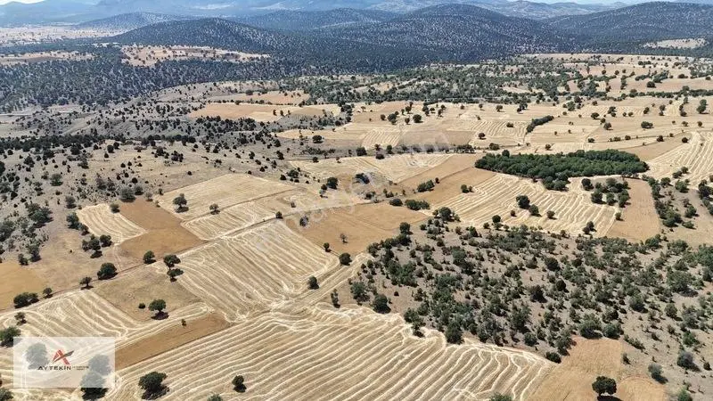 Asfalt Yola Yakın 985 M² Müstakil Tarla! Güneysınır Kurukavak'ta — fotoğraf 4