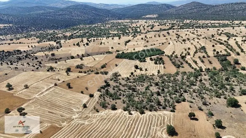 Asfalt Yola Yakın 985 M² Müstakil Tarla! Güneysınır Kurukavak'ta — fotoğraf 5
