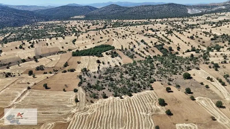 Asfalt Yola Yakın 985 M² Müstakil Tarla! Güneysınır Kurukavak'ta — fotoğraf 6