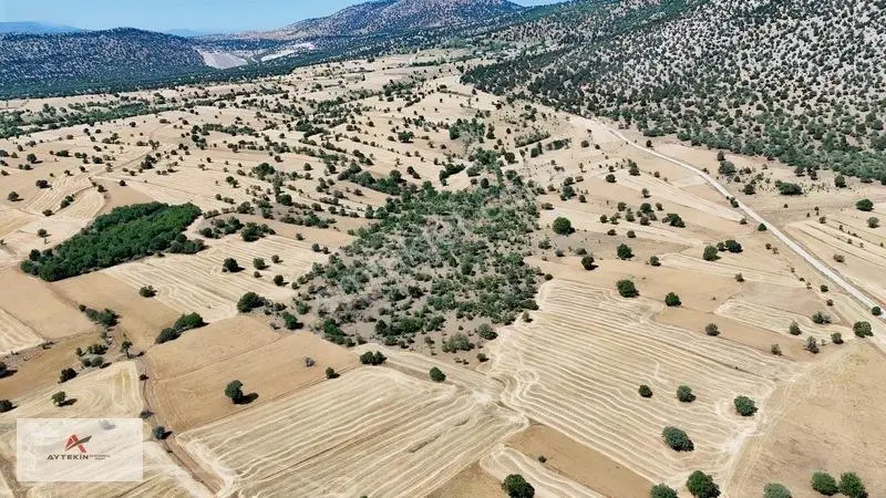 Asfalt Yola Yakın 985 M² Müstakil Tarla! Güneysınır Kurukavak'ta — fotoğraf 7