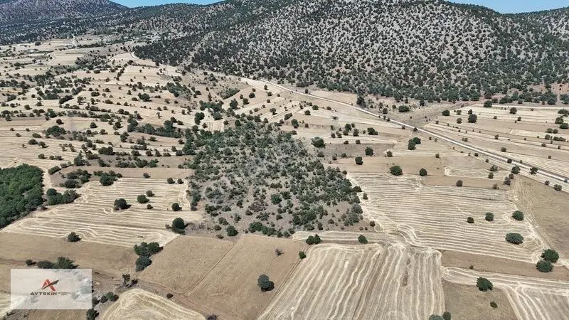 Asfalt Yola Yakın 985 M² Müstakil Tarla! Güneysınır Kurukavak'ta — fotoğraf 8