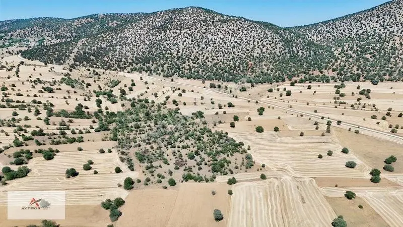 Asfalt Yola Yakın 985 M² Müstakil Tarla! Güneysınır Kurukavak'ta — fotoğraf 9